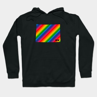 USA States: Colorado (rainbow) Hoodie